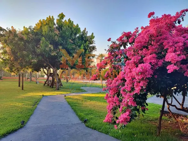 CHÁCARA PARA ALUGUEL PRÓXIMO AO JARDIM ATLÂNTICO, RONDONÓPOLIS – MT
