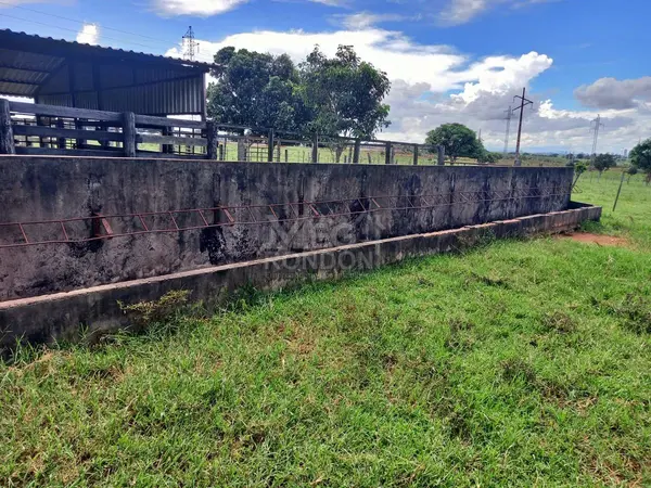 PROPRIEDADE RURAL À VENDA NO MARAJÁ