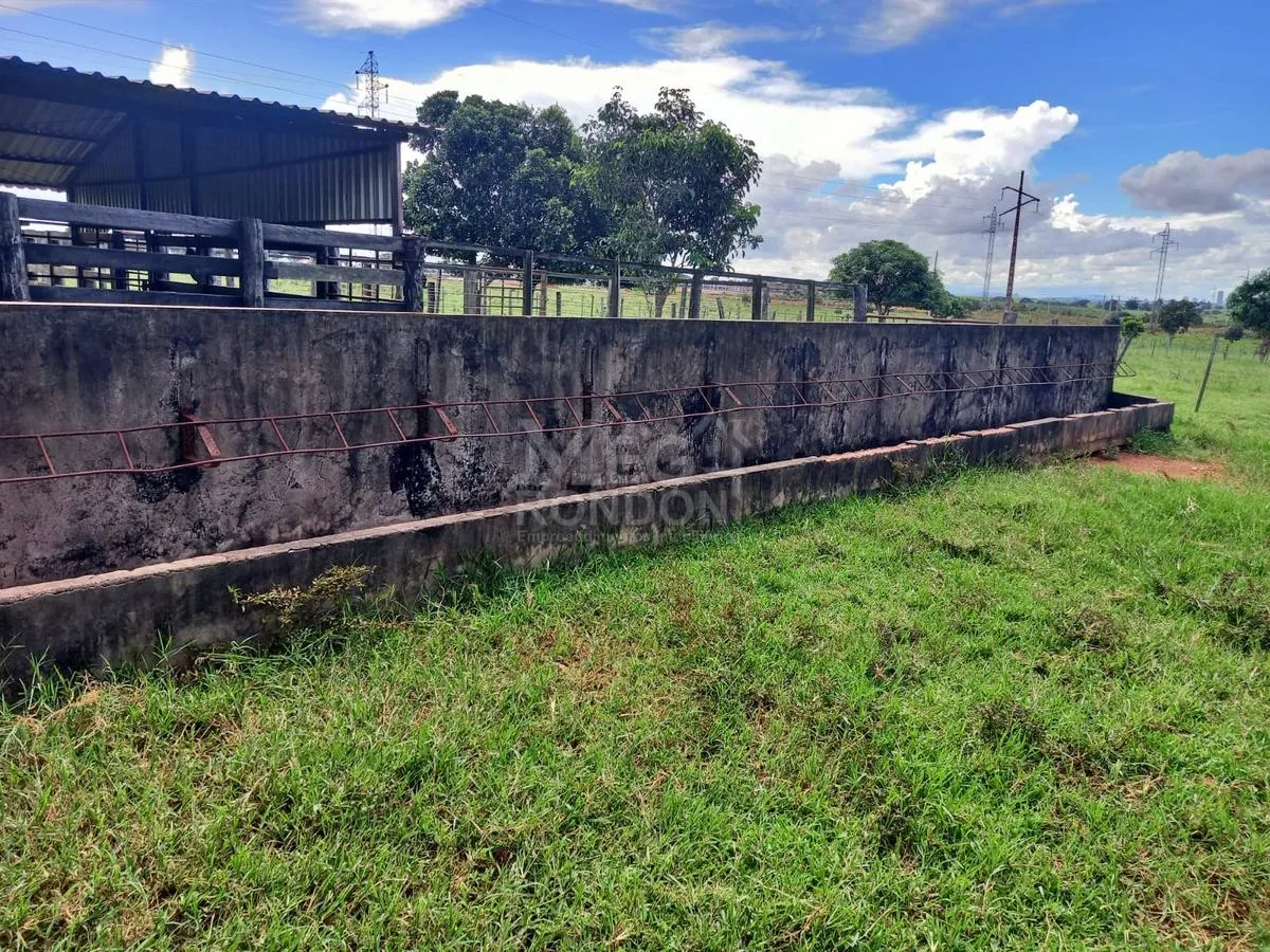 PROPRIEDADE RURAL À VENDA NO MARAJÁ — foto principal