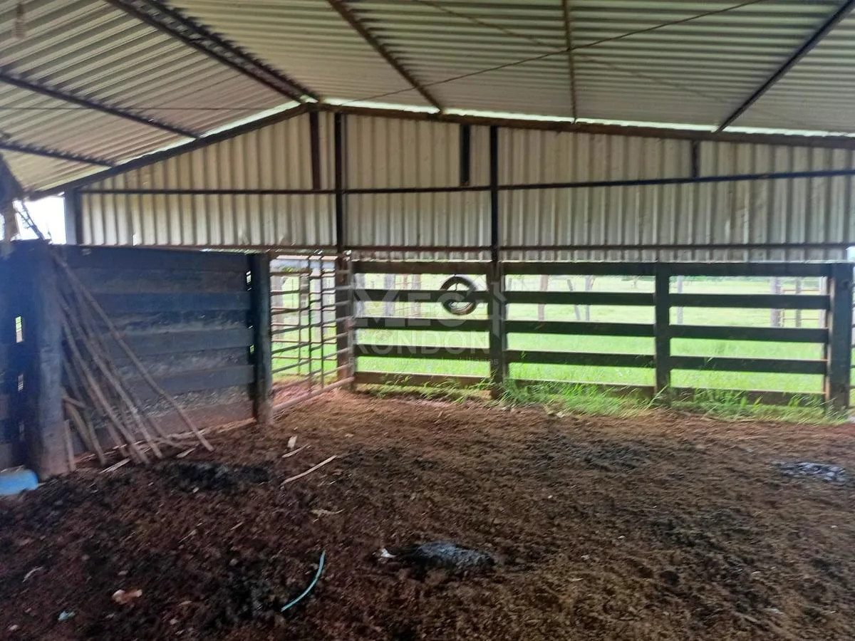 PROPRIEDADE RURAL À VENDA NO MARAJÁ — foto 5