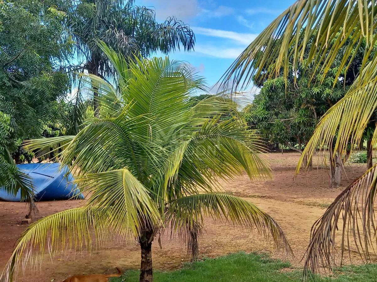 PROPRIEDADE RURAL À VENDA NO MARAJÁ — foto 6