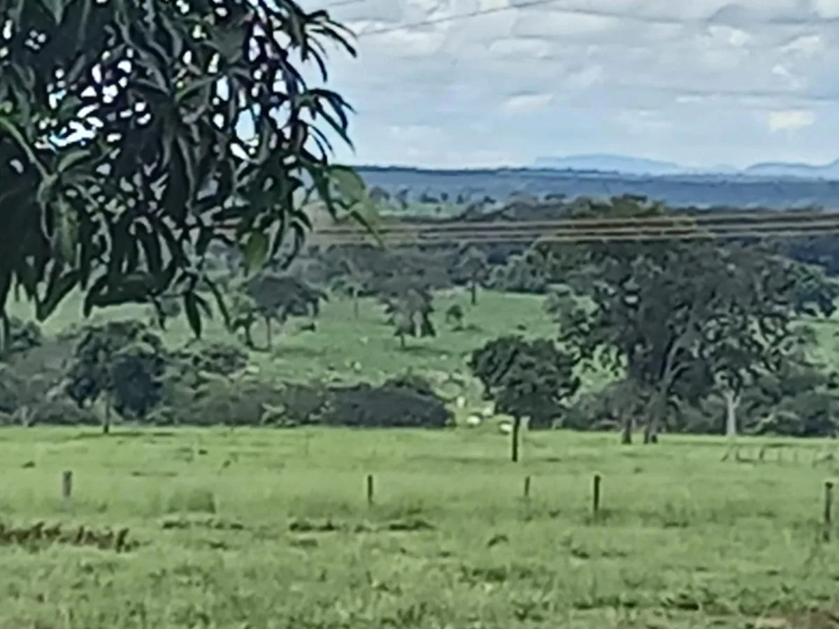 PROPRIEDADE RURAL À VENDA NO MARAJÁ — foto 8
