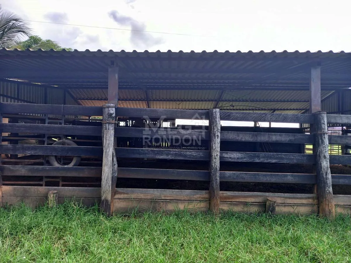 PROPRIEDADE RURAL À VENDA NO MARAJÁ — foto 13