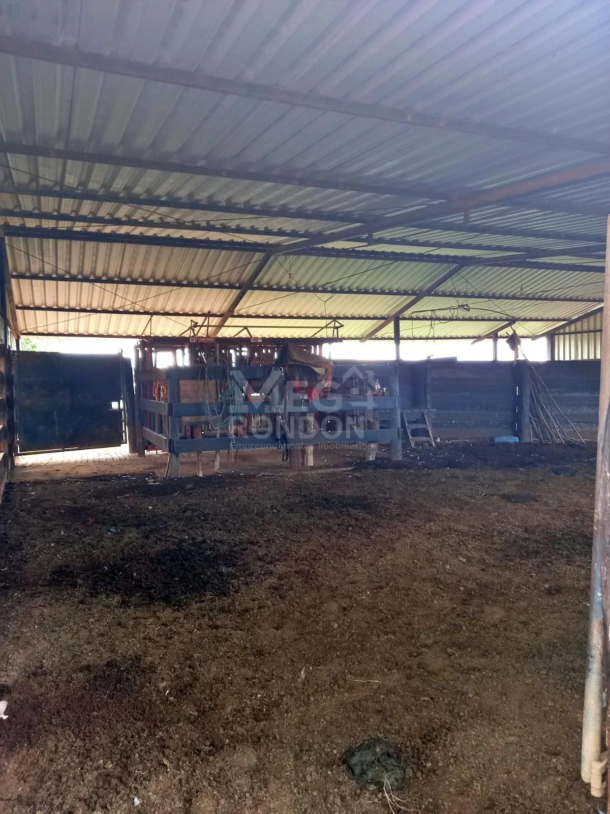PROPRIEDADE RURAL À VENDA NO MARAJÁ — foto 14