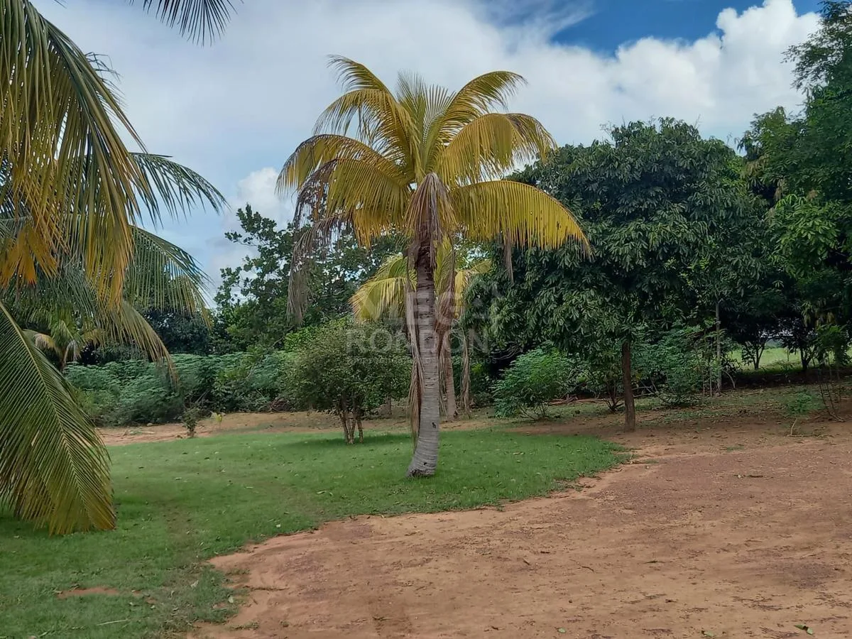 PROPRIEDADE RURAL À VENDA NO MARAJÁ — foto 15