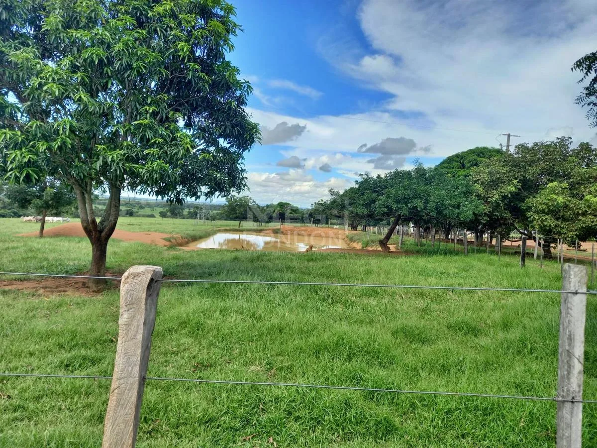 PROPRIEDADE RURAL À VENDA NO MARAJÁ — foto 16
