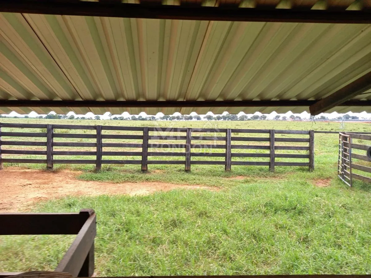 PROPRIEDADE RURAL À VENDA NO MARAJÁ — foto 19