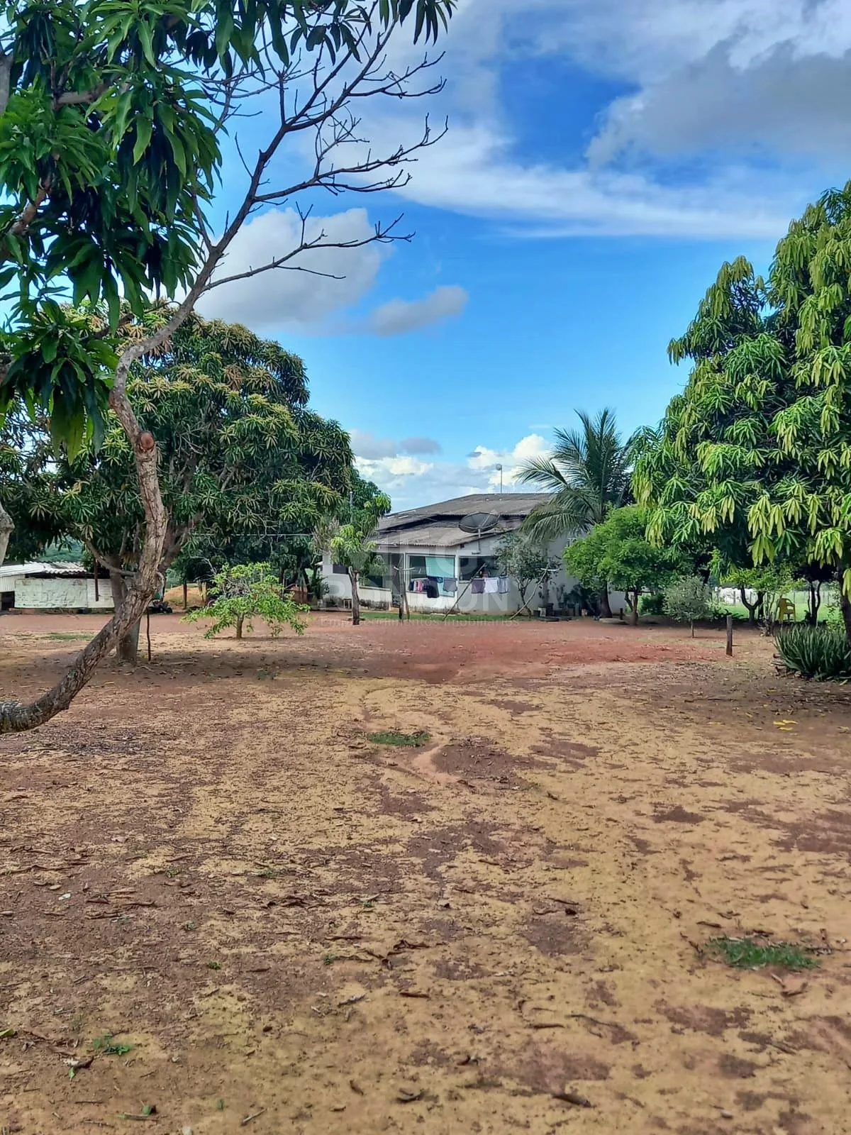 PROPRIEDADE RURAL À VENDA NO MARAJÁ — foto 21
