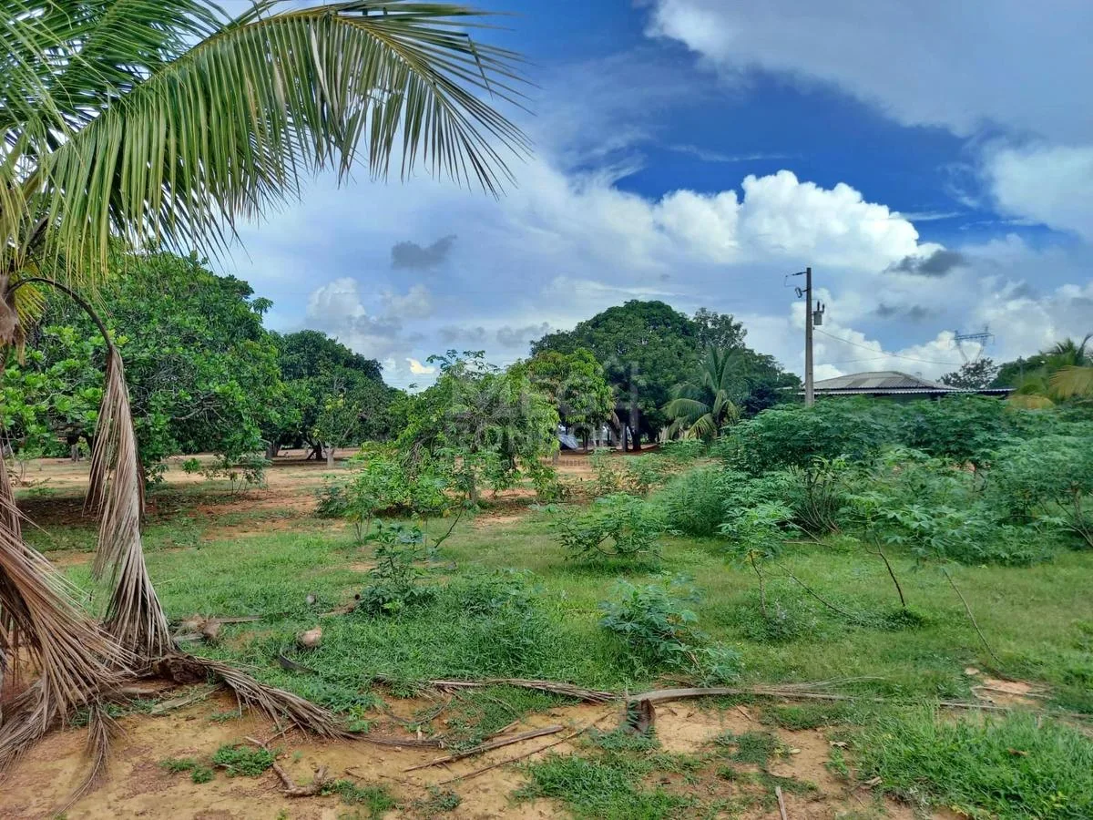 PROPRIEDADE RURAL À VENDA NO MARAJÁ — foto 23