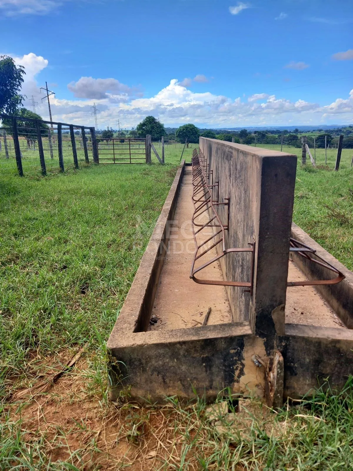 PROPRIEDADE RURAL À VENDA NO MARAJÁ — foto 24