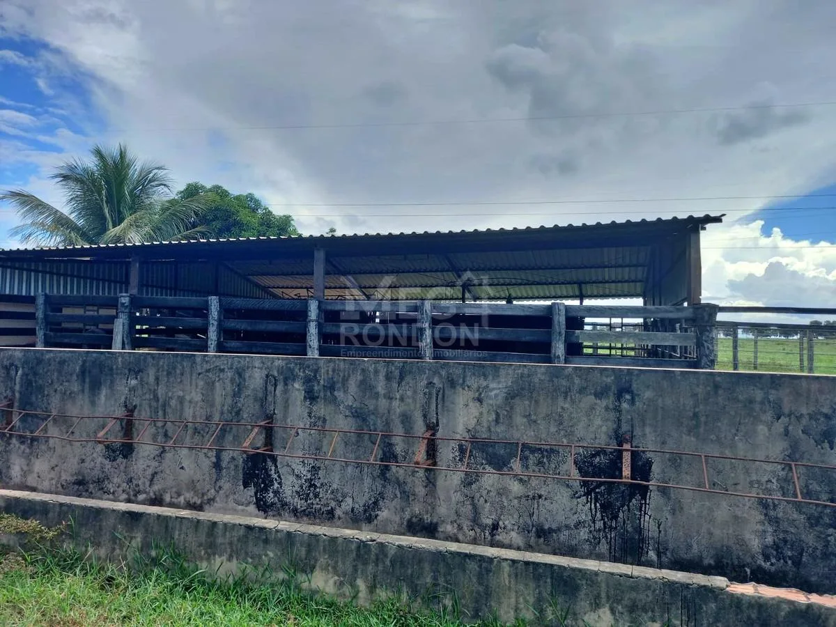 PROPRIEDADE RURAL À VENDA NO MARAJÁ — foto 26