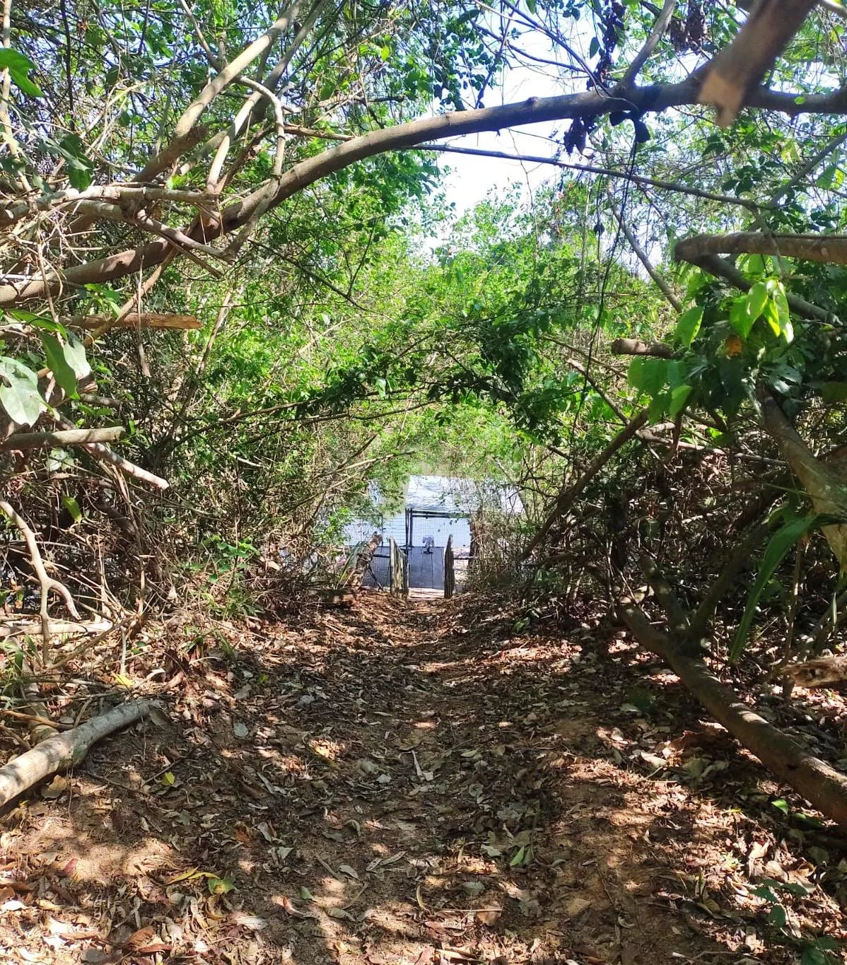 CHĂCARA Ă VENDA EM SĂO LOURENĂO DE FĂTIMA â foto 2