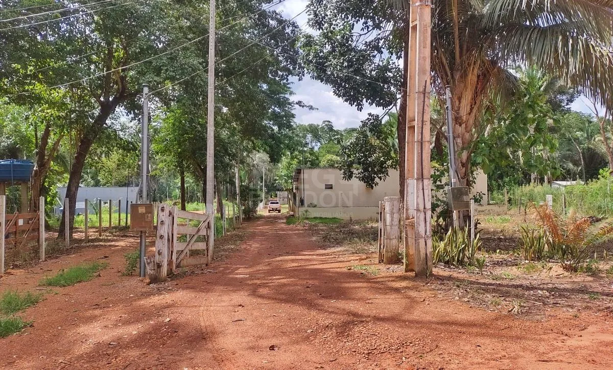 CHĂCARA Ă VENDA EM SĂO LOURENĂO DE FĂTIMA â foto 4