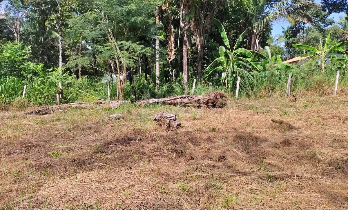 CHĂCARA Ă VENDA EM SĂO LOURENĂO DE FĂTIMA â foto 9