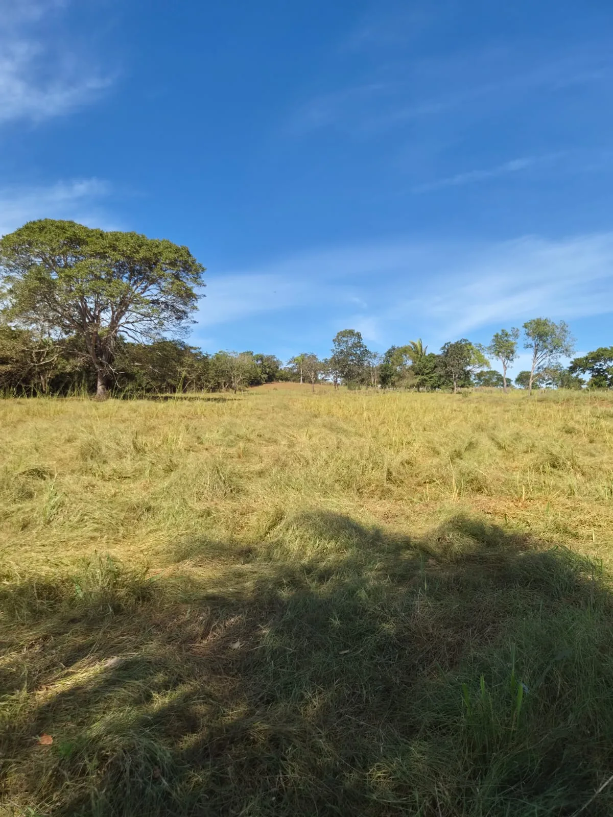 SÍTIO À VENDA EM RONDONÓPOLIS – MT — foto 4