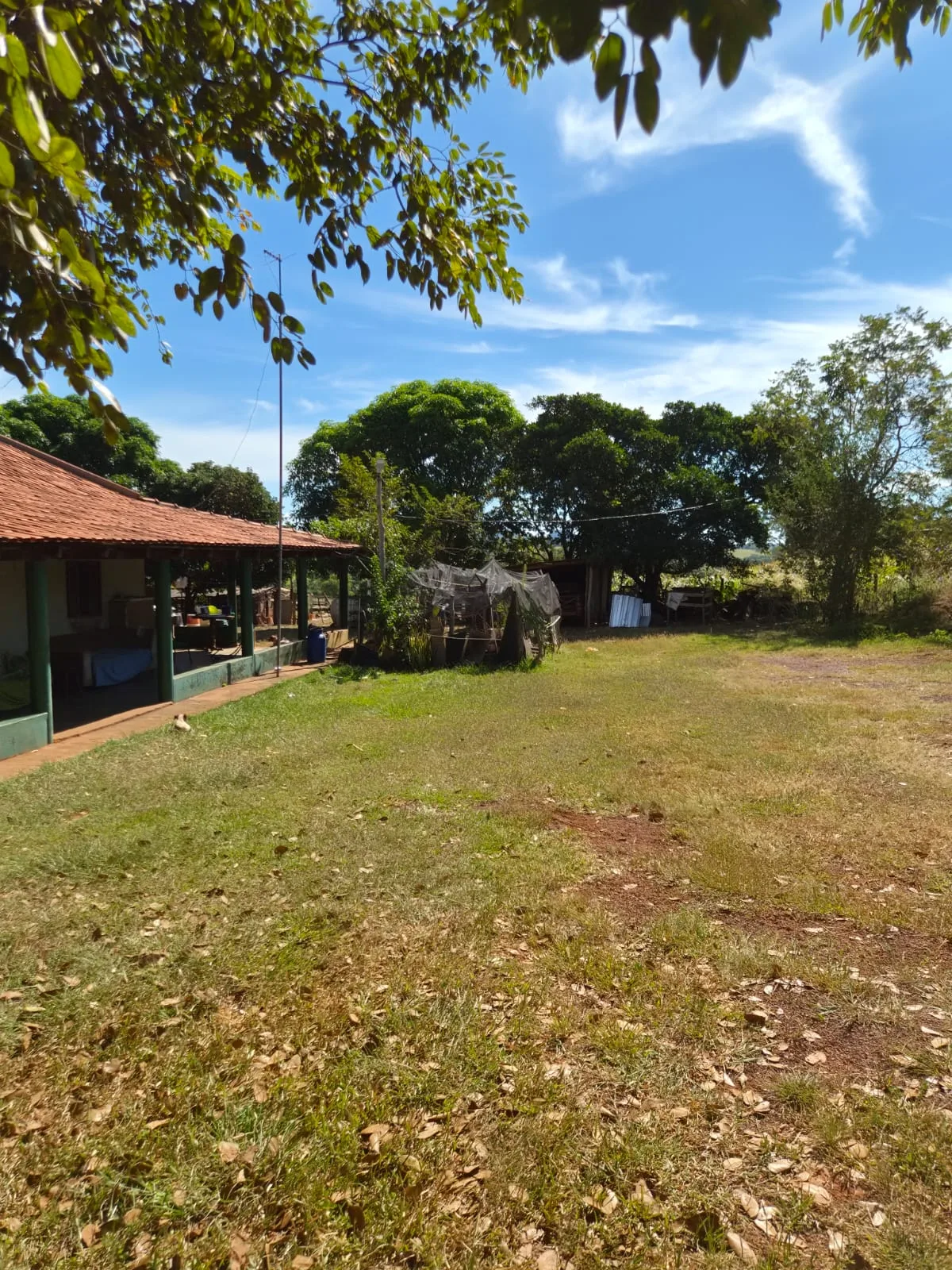 SÍTIO À VENDA EM RONDONÓPOLIS – MT — foto 5