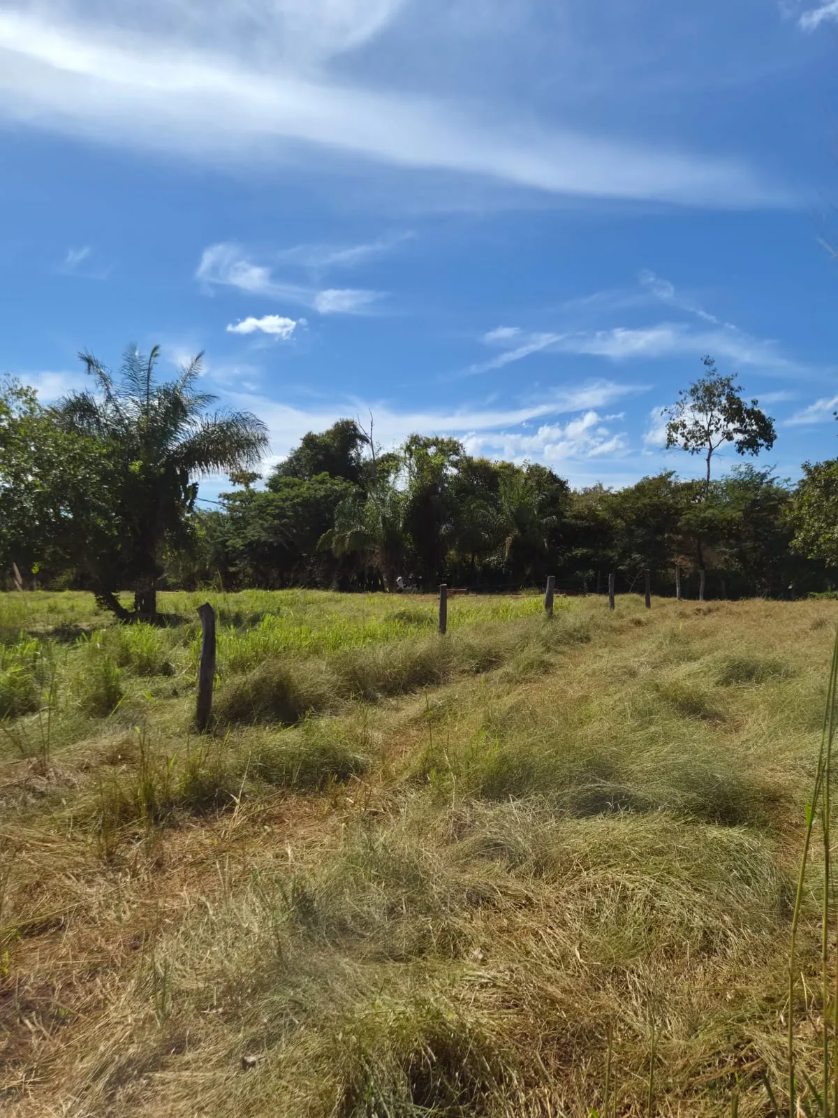SÍTIO À VENDA EM RONDONÓPOLIS – MT — foto 6