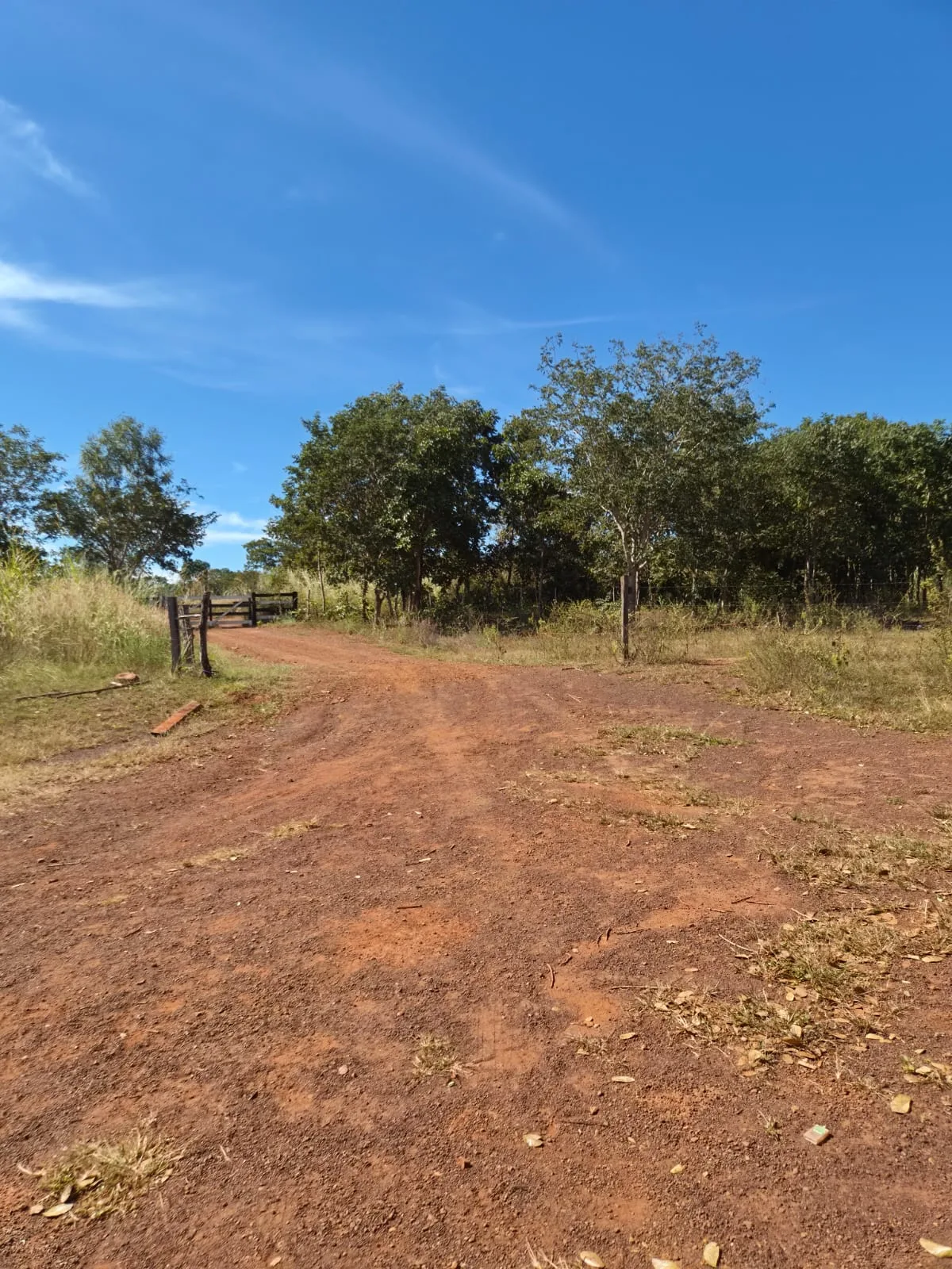 SÍTIO À VENDA EM RONDONÓPOLIS – MT — foto 7