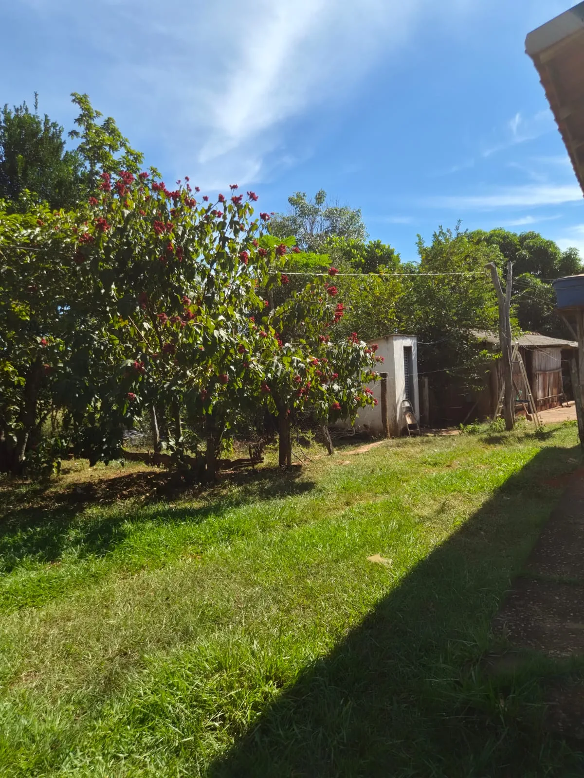 SÍTIO À VENDA EM RONDONÓPOLIS – MT — foto 8