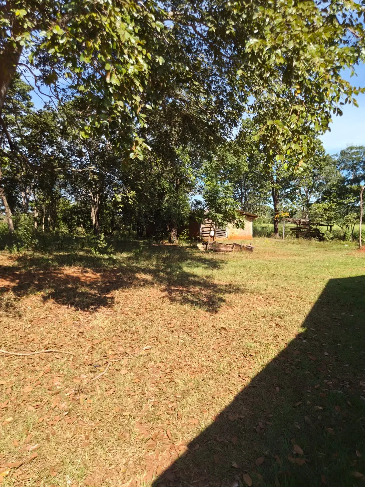 SÍTIO À VENDA EM RONDONÓPOLIS – MT — foto 10