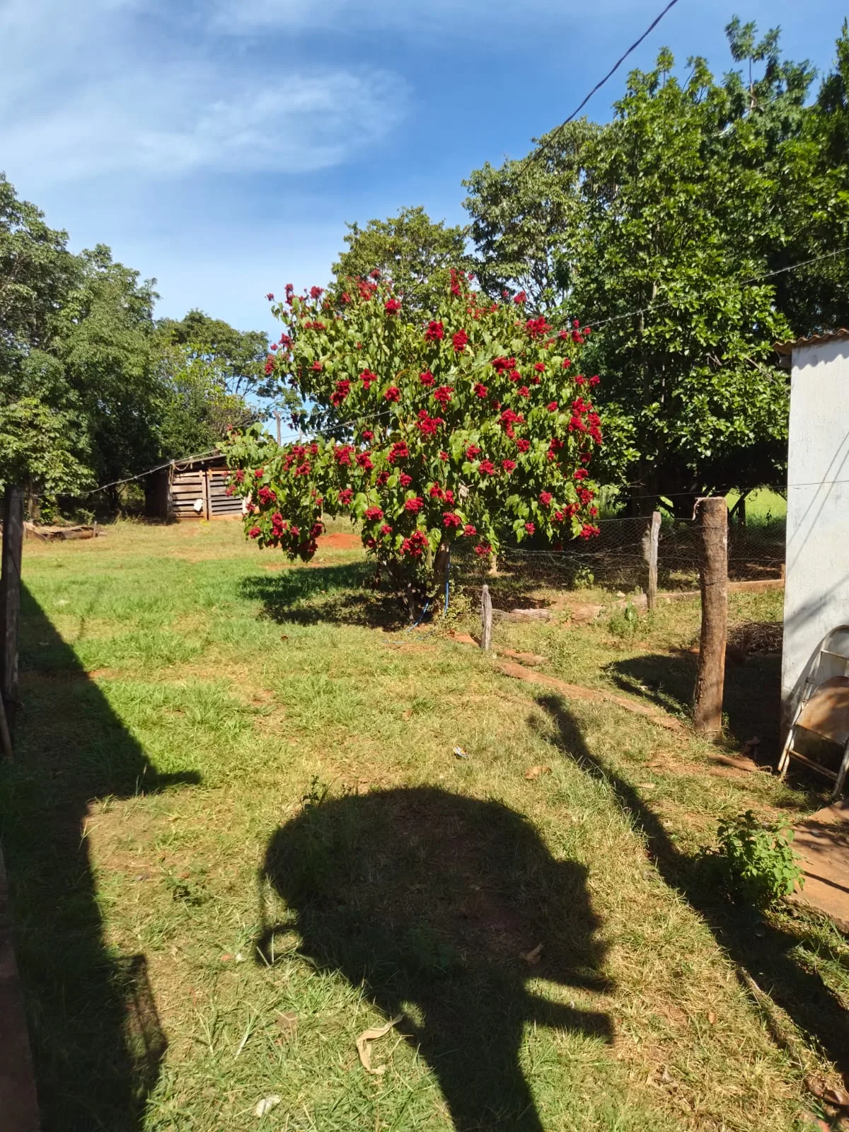 SÍTIO À VENDA EM RONDONÓPOLIS – MT — foto 14
