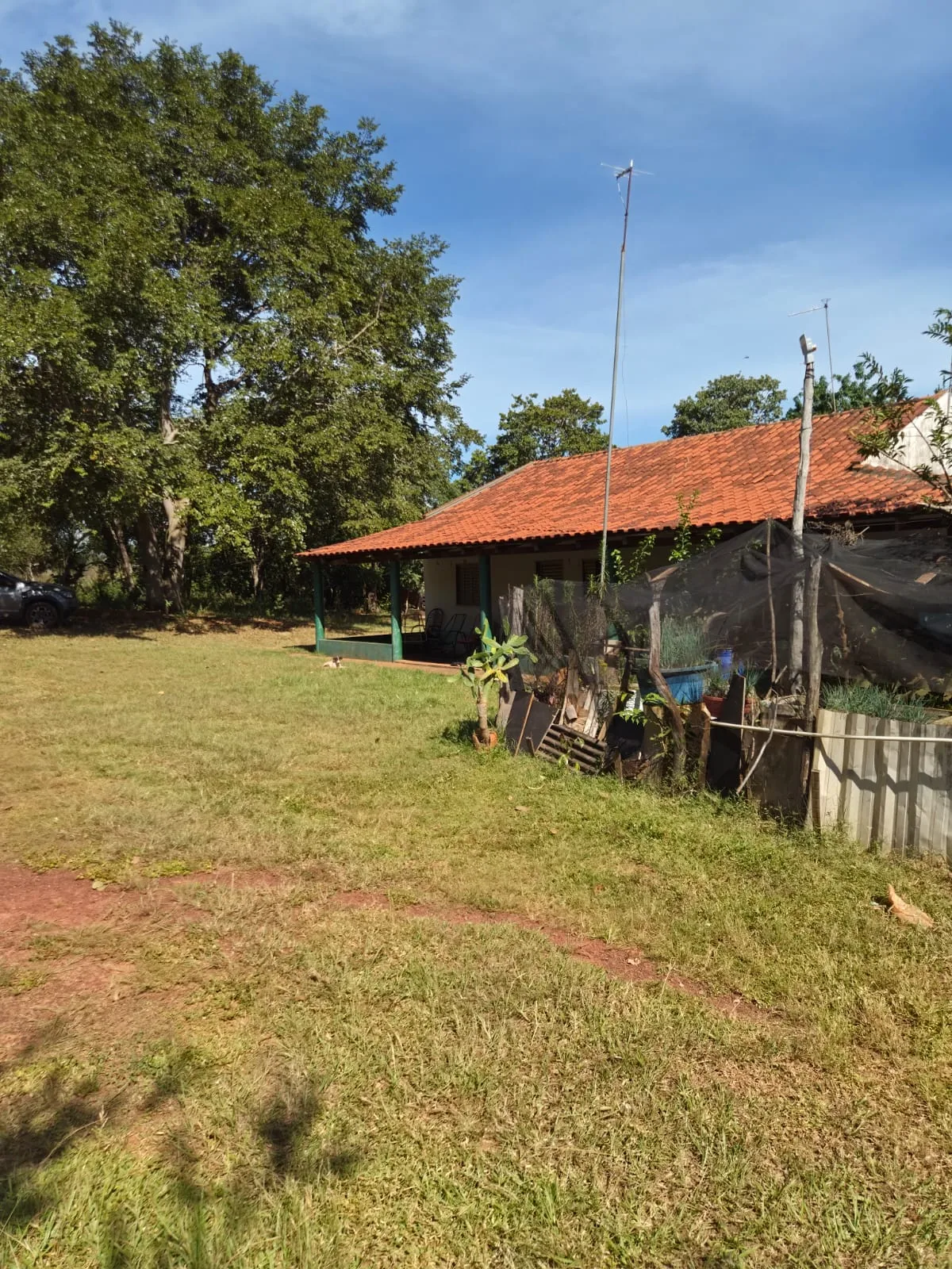 SÍTIO À VENDA EM RONDONÓPOLIS – MT — foto 16