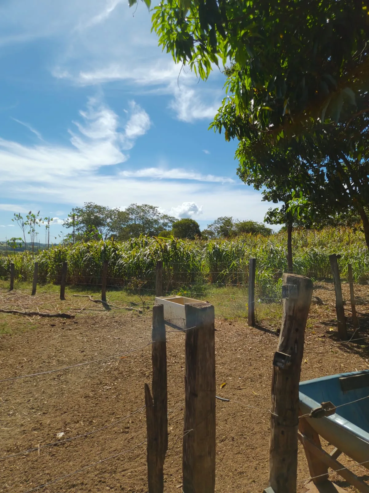 SÍTIO À VENDA EM RONDONÓPOLIS – MT — foto 21