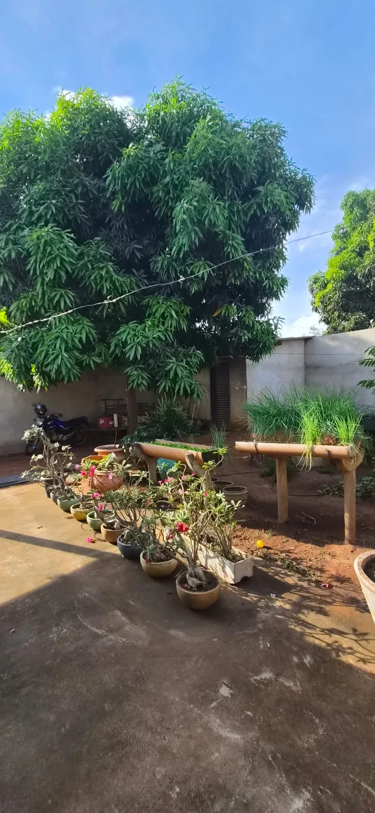 CASA A VENDA NO JARDIM PAINEIRAS ✨🏡 — foto 11