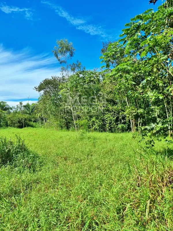 🏡 RANCHO À VENDA NA RODOVIA DO PEIXE EM RONDONÓPOLIS – MT