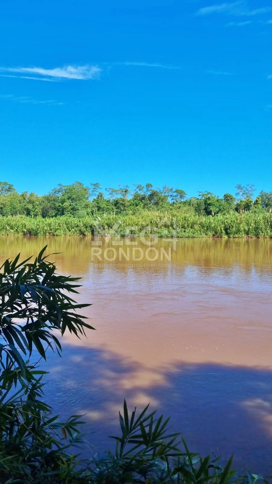 🏡 RANCHO À VENDA NA RODOVIA DO PEIXE EM RONDONÓPOLIS – MT — foto 5