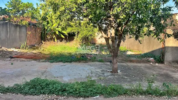 🌳 TERRENO À VENDA NO BAIRRO VILA OLGA MARIA, RONDONÓPOLIS – MT