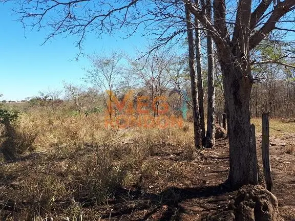 🌳CHÁCARAS À VENDA NA ÁREA RURAL VILA PAULISTA, RONDONÓPOLIS - MT