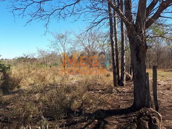 🌳CHÁCARAS À VENDA NA ÁREA RURAL VILA PAULISTA, RONDONÓPOLIS - MT — foto principal