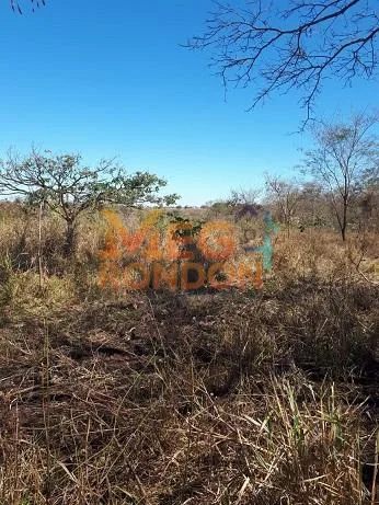 🌳CHÁCARAS À VENDA NA ÁREA RURAL VILA PAULISTA, RONDONÓPOLIS - MT — foto 2