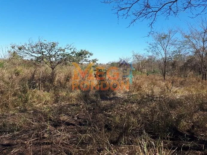 🌳CHÁCARAS À VENDA NA ÁREA RURAL VILA PAULISTA, RONDONÓPOLIS - MT — foto 3