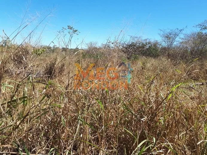 🌳CHÁCARAS À VENDA NA ÁREA RURAL VILA PAULISTA, RONDONÓPOLIS - MT — foto 4