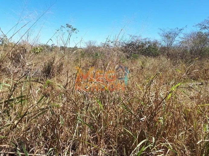 🌳CHÁCARAS À VENDA NA ÁREA RURAL VILA PAULISTA, RONDONÓPOLIS - MT — foto 5