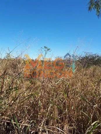🌳CHÁCARAS À VENDA NA ÁREA RURAL VILA PAULISTA, RONDONÓPOLIS - MT — foto 6