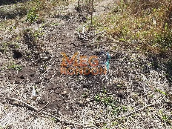 🌳CHÁCARAS À VENDA NA ÁREA RURAL VILA PAULISTA, RONDONÓPOLIS - MT — foto 7