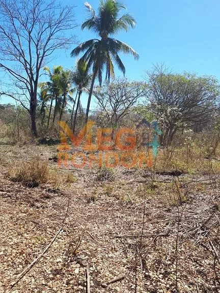 🌳CHÁCARAS À VENDA NA ÁREA RURAL VILA PAULISTA, RONDONÓPOLIS - MT — foto 8