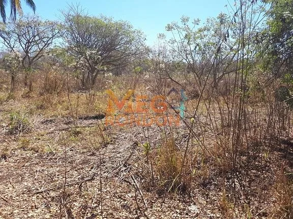 🌳CHÁCARAS À VENDA NA ÁREA RURAL VILA PAULISTA, RONDONÓPOLIS - MT — foto 9