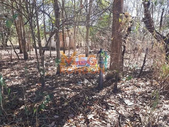 🌳CHÁCARAS À VENDA NA ÁREA RURAL VILA PAULISTA, RONDONÓPOLIS - MT — foto 12