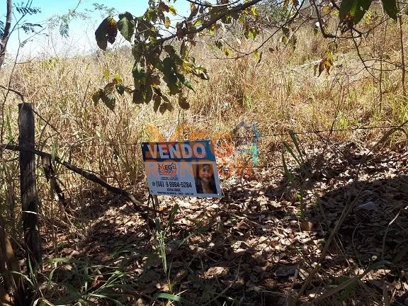 🌳CHÁCARAS À VENDA NA ÁREA RURAL VILA PAULISTA, RONDONÓPOLIS - MT — foto 14