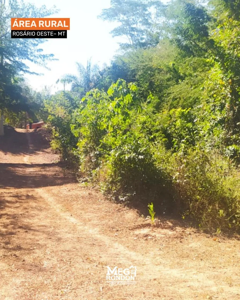 🏡 RANCHO À VENDA NA ÁREA RURAL, ROSÁRIO OESTE– MT ID:RC03 — foto 12