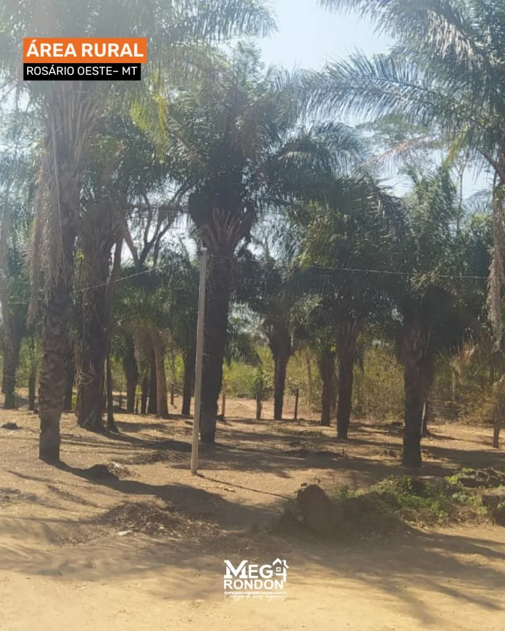 🏡 RANCHO À VENDA NA ÁREA RURAL, ROSÁRIO OESTE– MT ID:RC03 — foto 13
