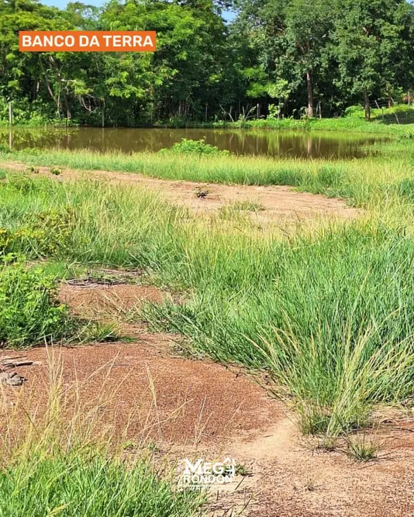 🏡 SÍTIO À VENDA NA ÁREA RURAL BANCO DA TERRA  RONDONÓPOLIS – MT ID:ST05