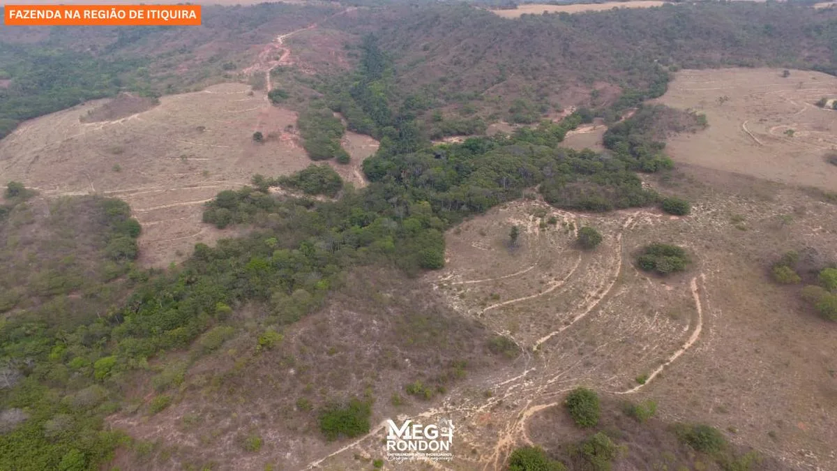 🏡 FAZENDA À VENDA NA REGIÃO DE ITIQUIRA – MT ID:FZ03 — foto 4