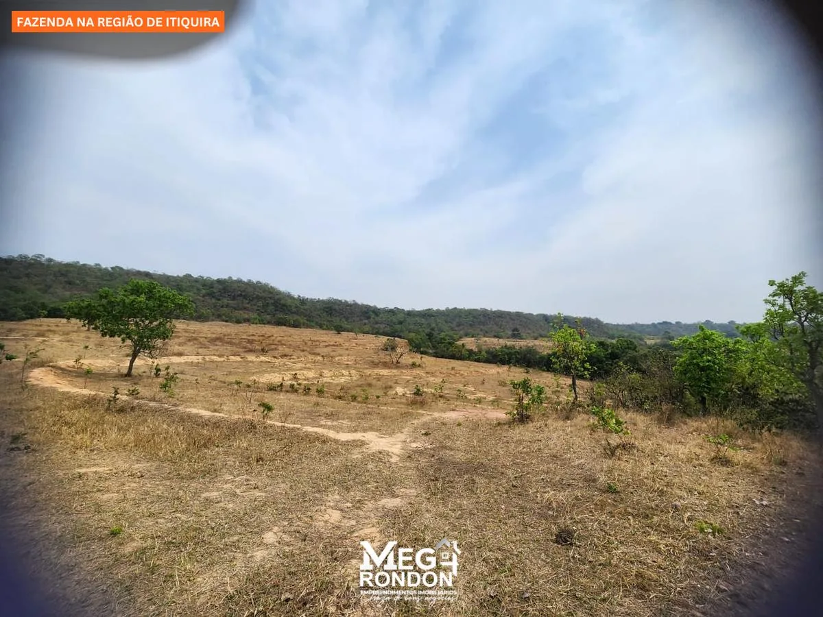 🏡 FAZENDA À VENDA NA REGIÃO DE ITIQUIRA – MT ID:FZ03 — foto 8