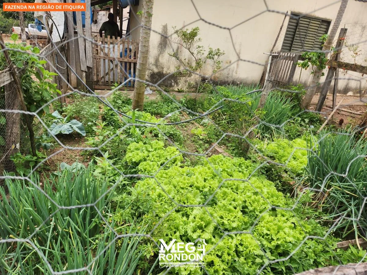 🏡 FAZENDA À VENDA NA REGIÃO DE ITIQUIRA – MT ID:FZ03 — foto 10