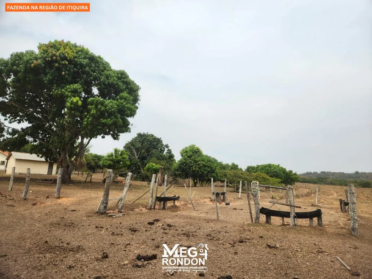 🏡 FAZENDA À VENDA NA REGIÃO DE ITIQUIRA – MT ID:FZ03 — foto 11